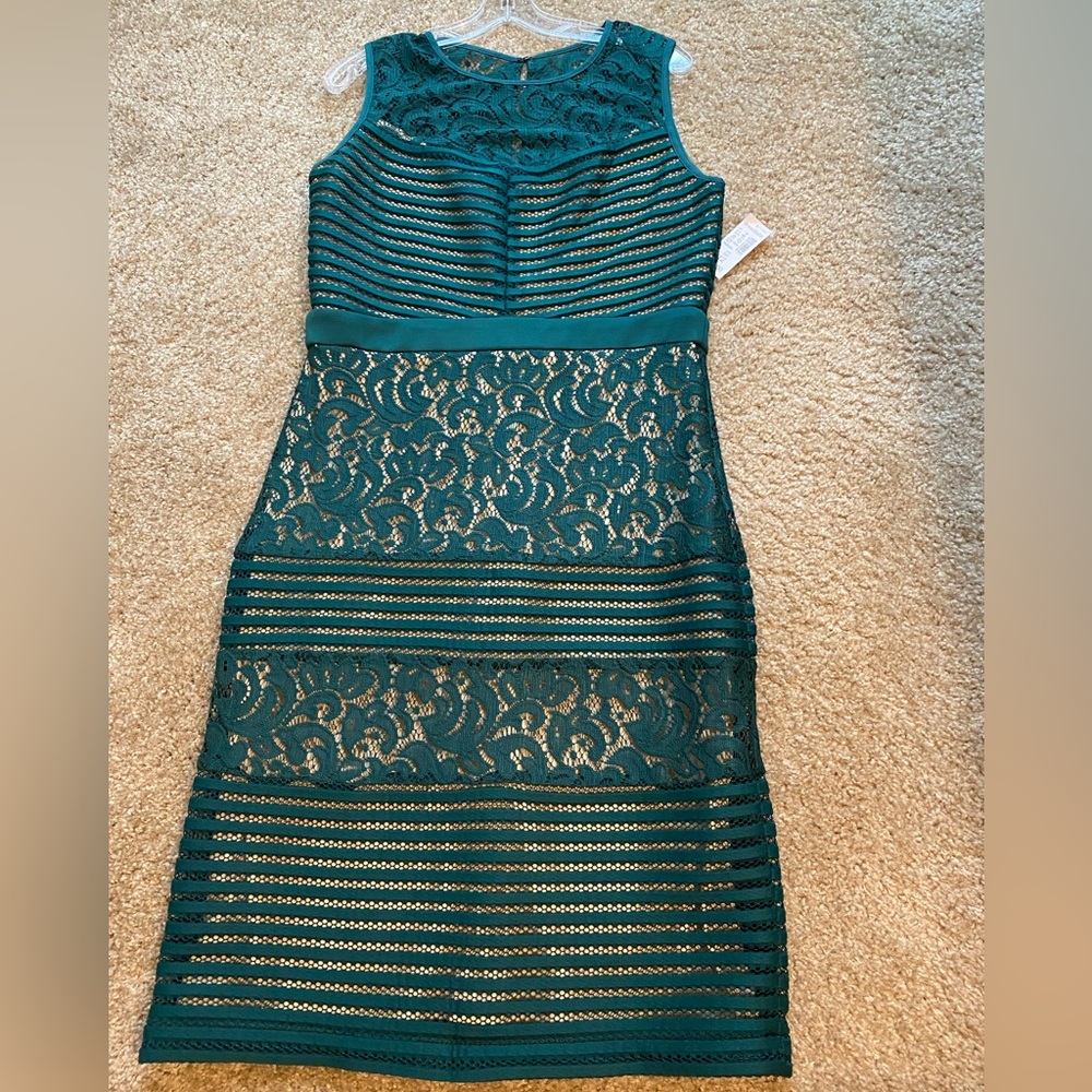 Green Lace and Mesh Sleeveless Dress with nude lining. Size 12 $40.00 - Picture 1 of 4